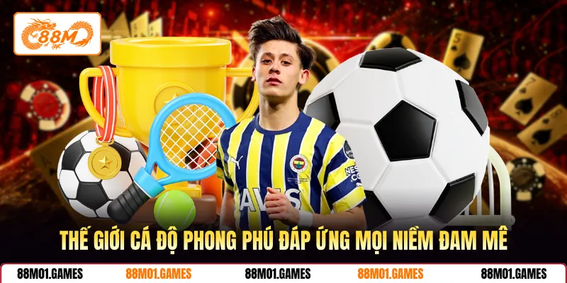 Thế giới cá độ phong phú đáp ứng mọi niềm đam mê